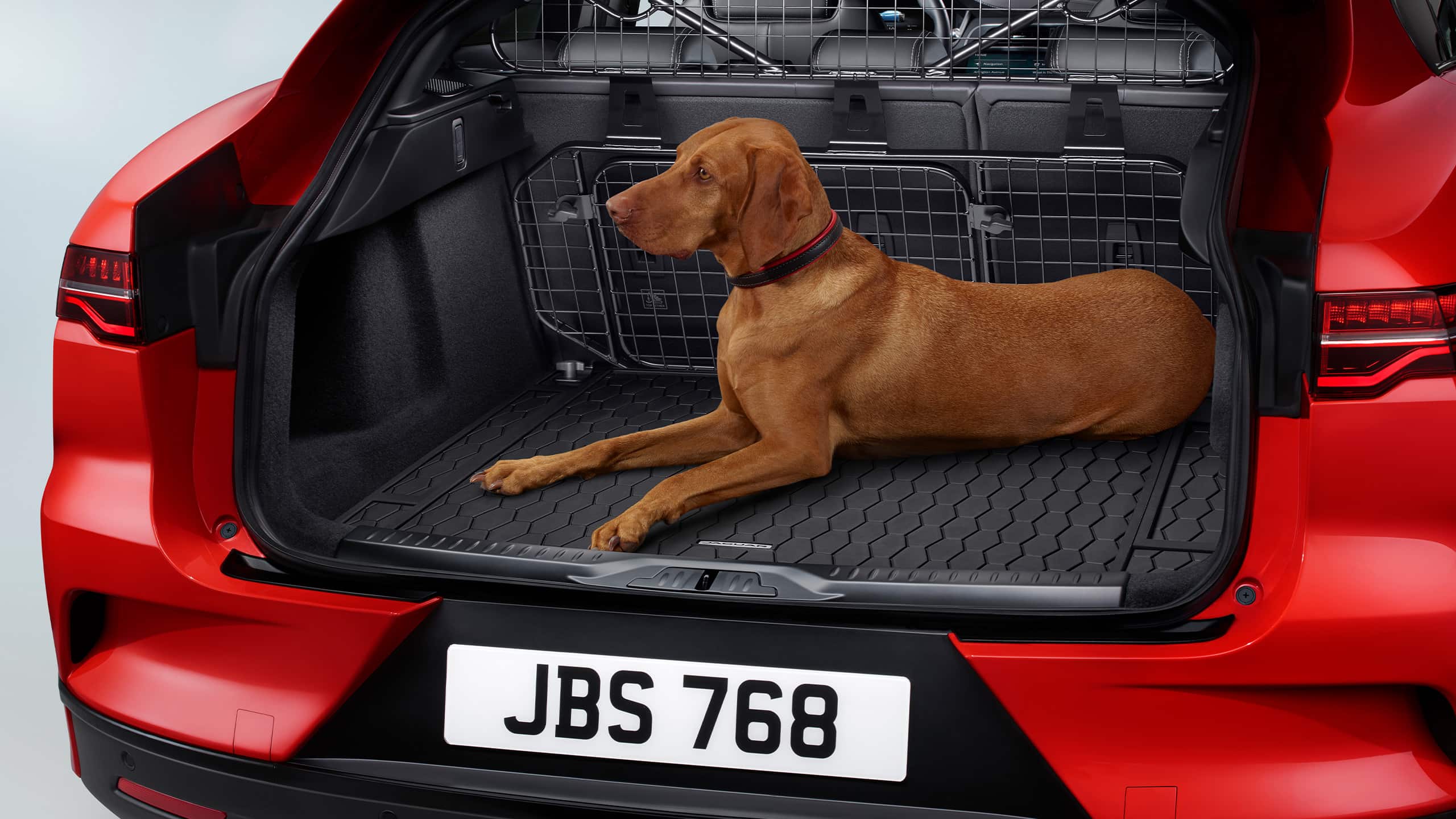 Jaguar I-PACE dog accessories in boot space 